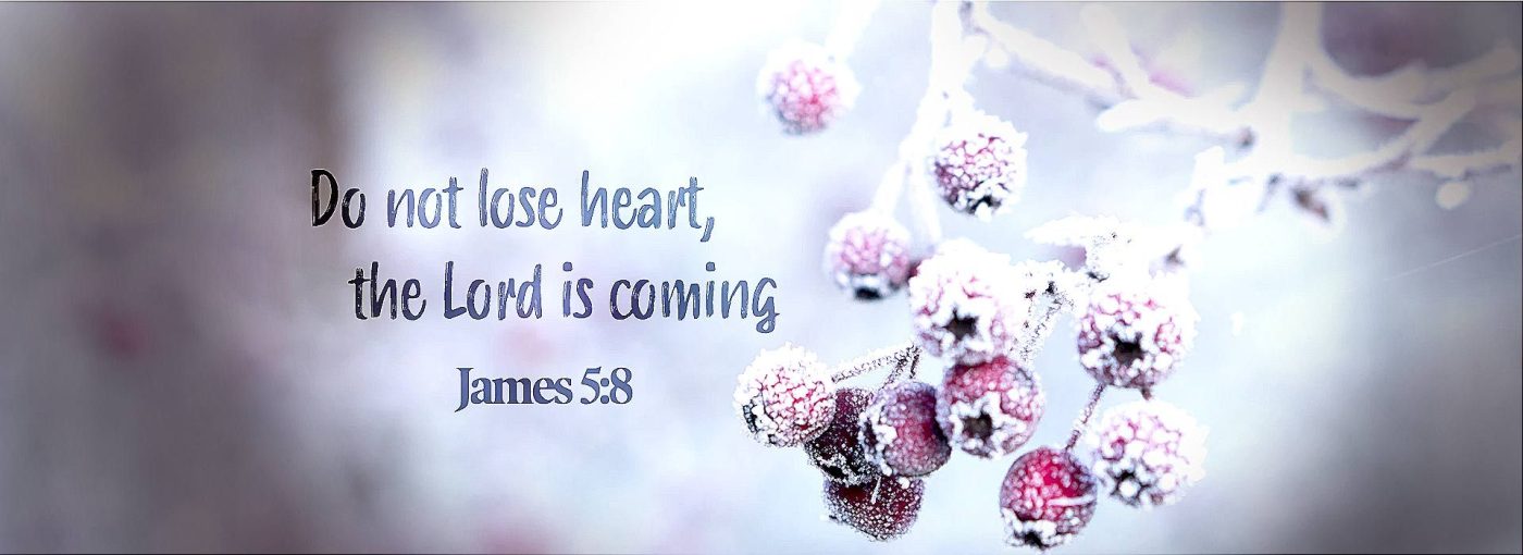 3rd Sunday Advent