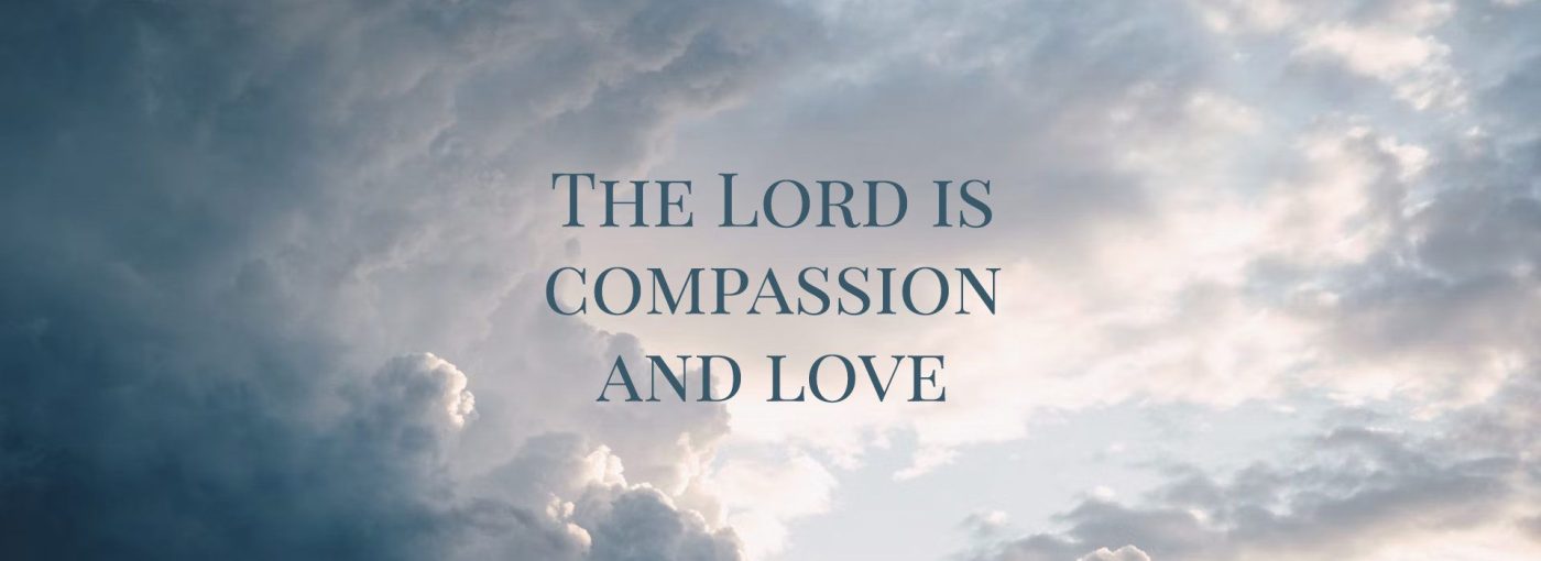 7th Sunday Ordinary Time