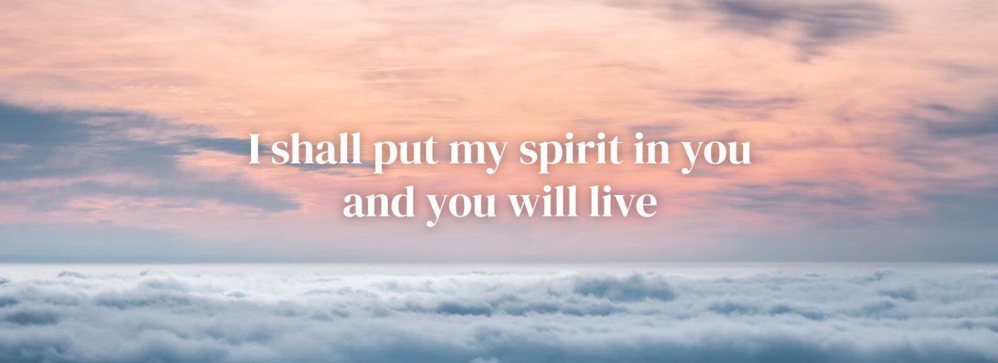 Fifth Sunday Lent