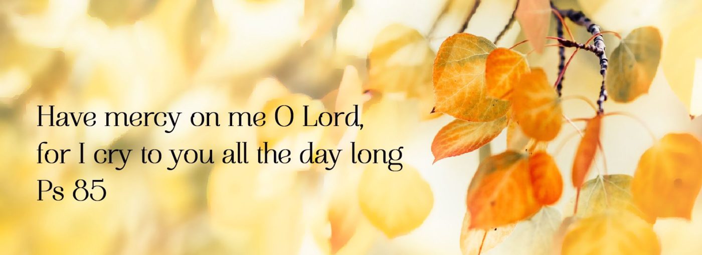 22nd Sunday Ordinary Time