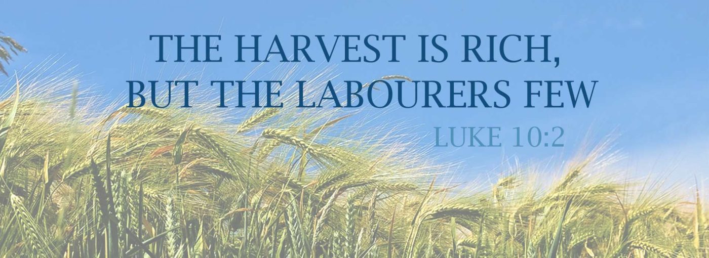14th Sunday Ordinary Time