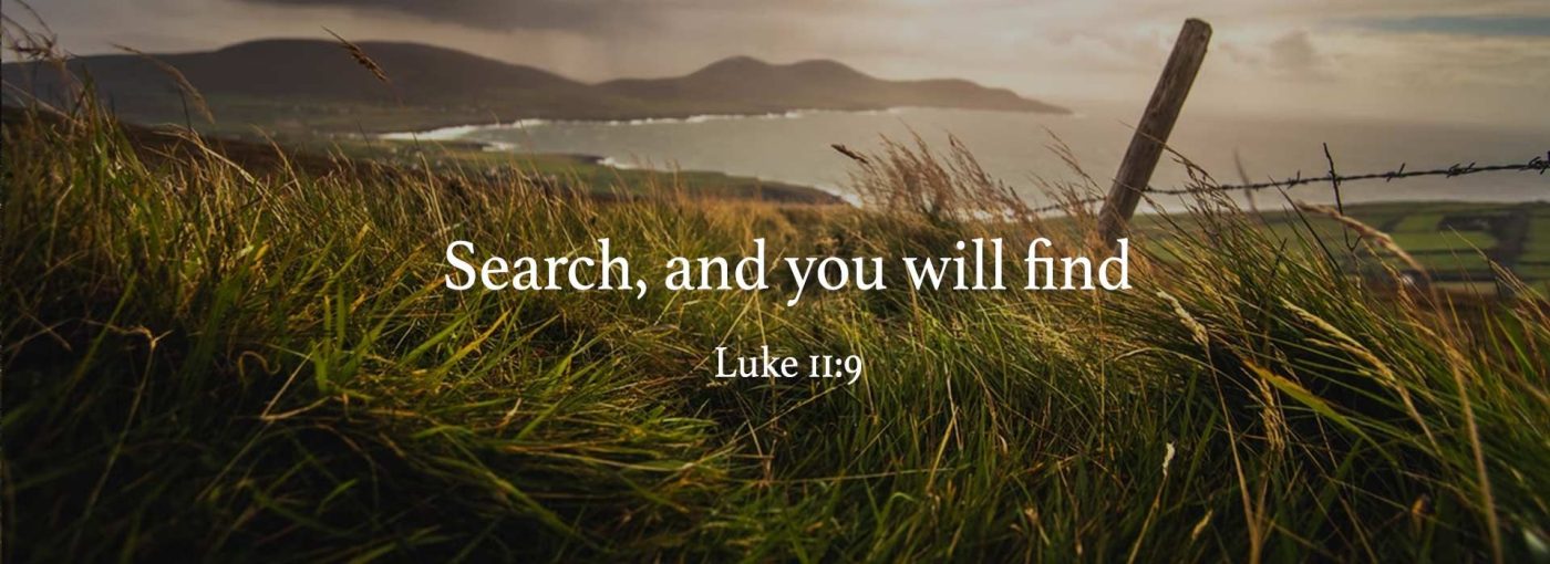 17th Sunday Ordinary Time
